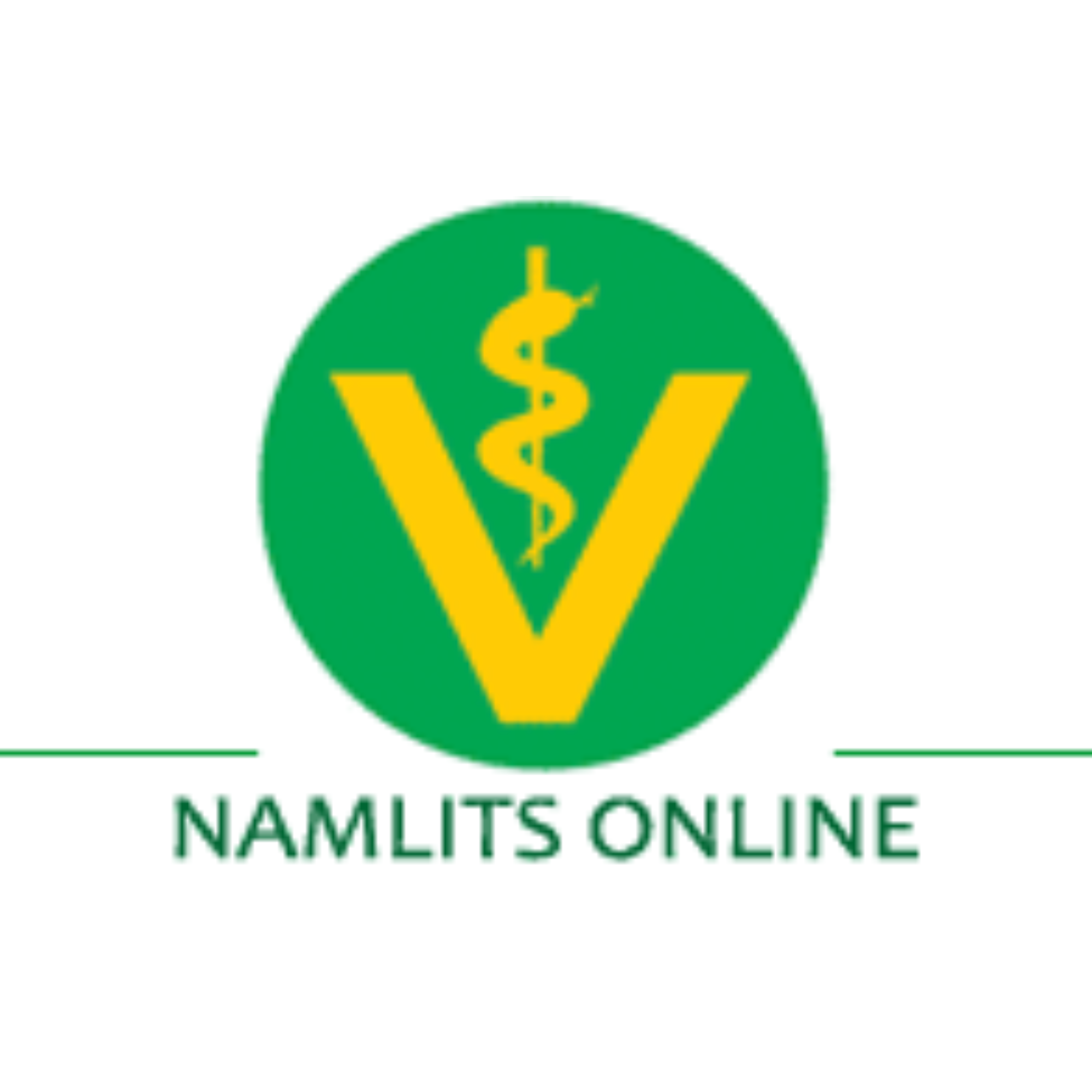 NAMLITS-ONLINE
