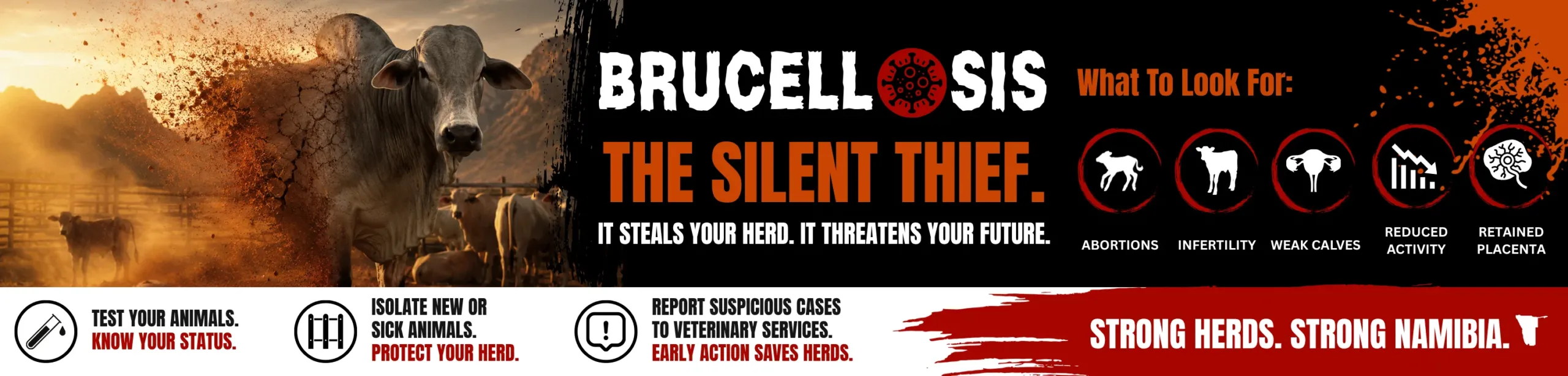 Brucellosis awareness